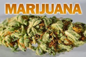 Man held with four kilograms marijuana
