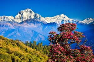 Nepal is a country of harmony, peace and coexistence:
