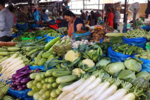 vegetables, fruits worth Rs 6.29 billion imported via Kakadvitta